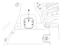 G11794036