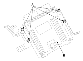 G11794841