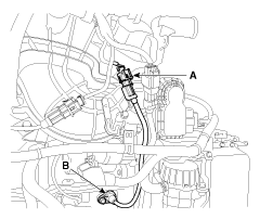 G11794883