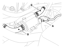 G11815784