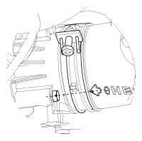 G11815956