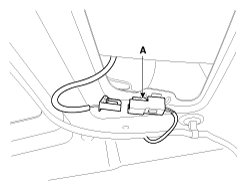 G11817862