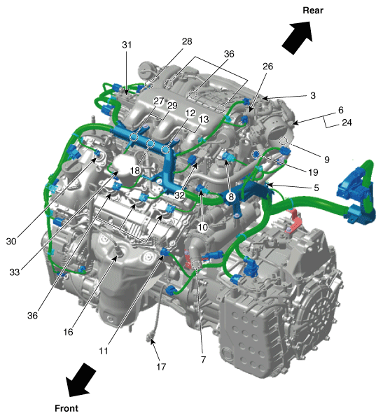 G11856604