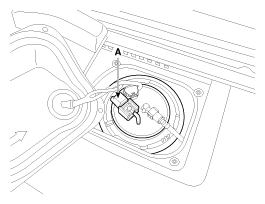 G11856693
