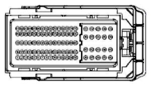 G11915531