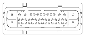 G11915556