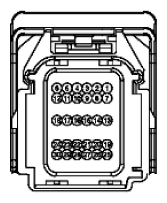 G11915959