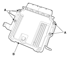 G11955484