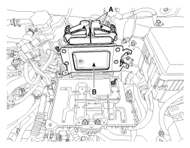 G11955807