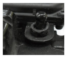 G12033891