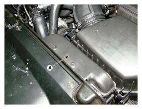 G12124861