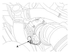G12129392