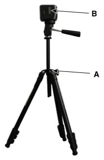 G12139931
