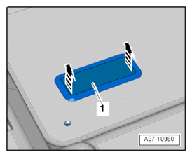 G12355324