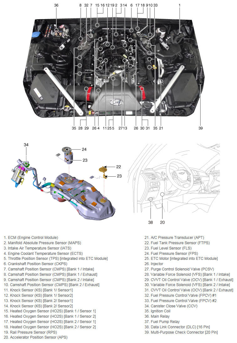 G12661531