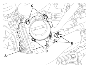 G12787079