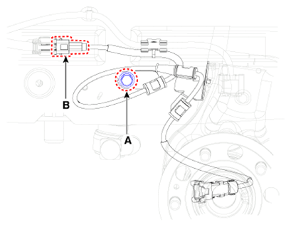 G12795813