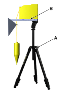 G12915116