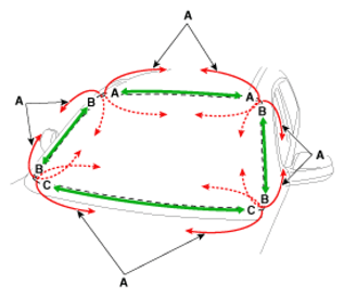 G12974749