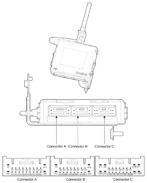 G13035592