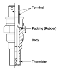 G13036888