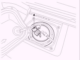 G13044285
