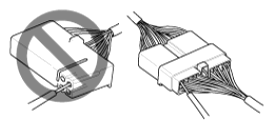 G13055493