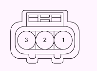 G13055534