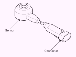 G13055548
