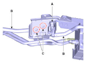 G13055598