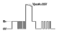 G13155690