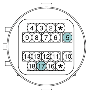 G13156079