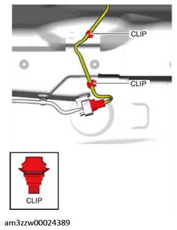 G13175546