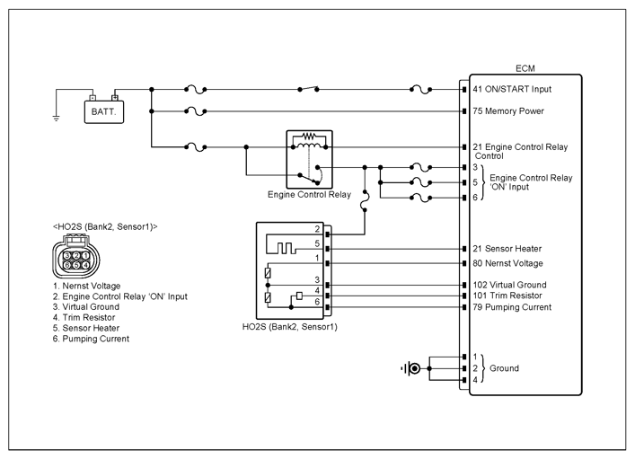 G13335089