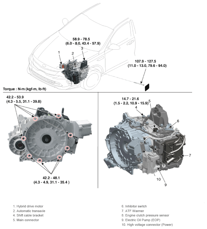 G13362157
