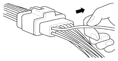 G13388006