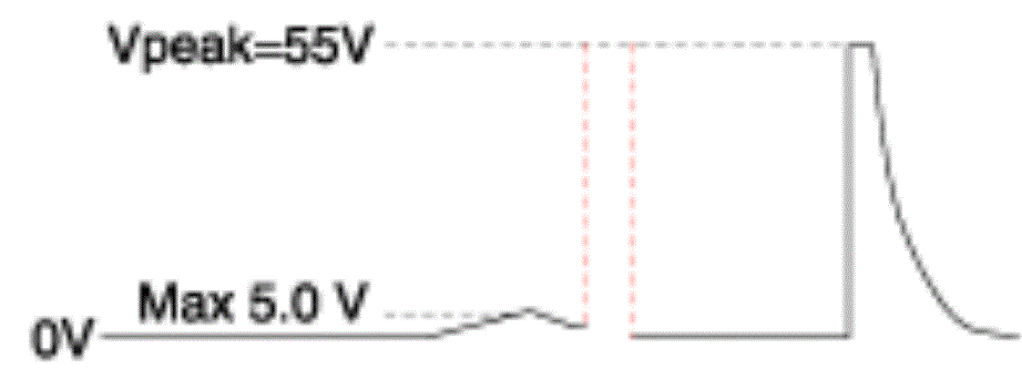 G13388028