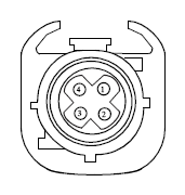 G13419175