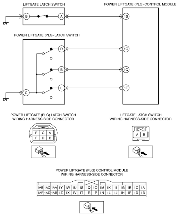 G13447266