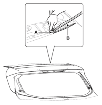 G13486371
