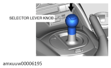 G13489557