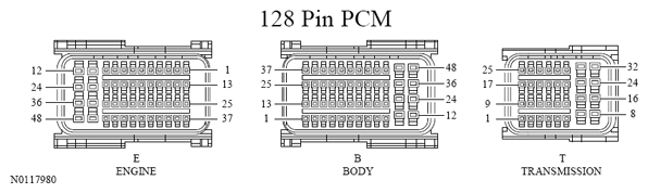 G13533410