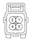 G13539364