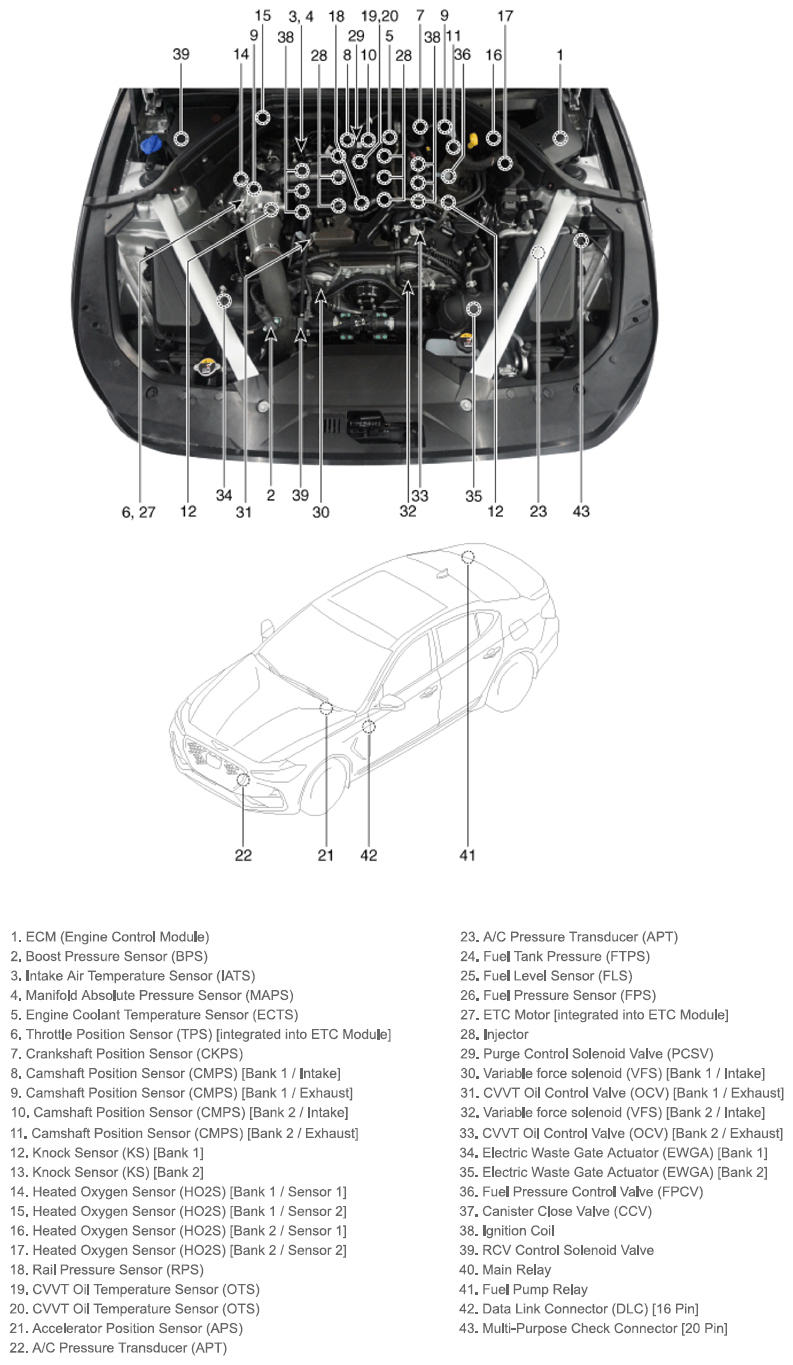 G13543264