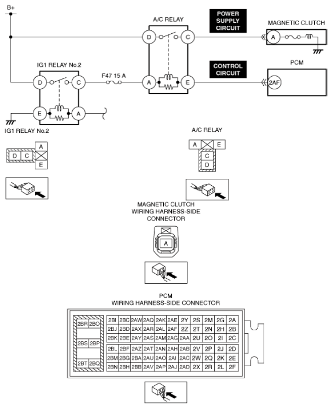 G13556286