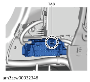 G13561124