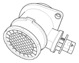 G13562983