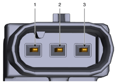 G13575984