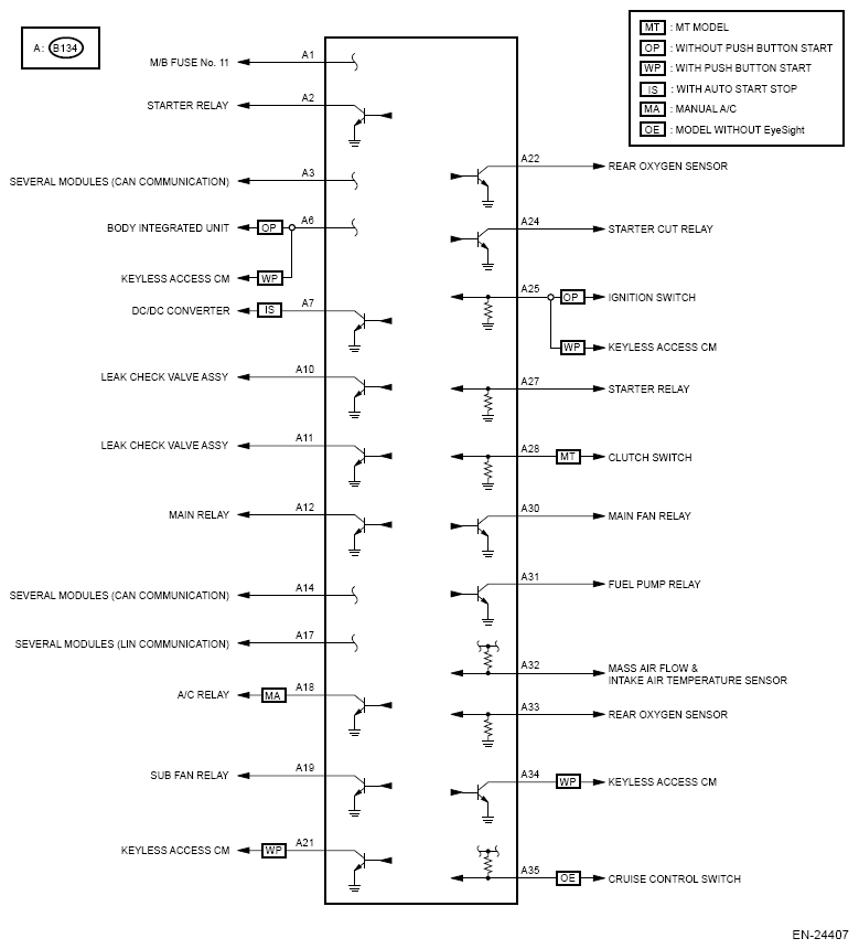 G13607928