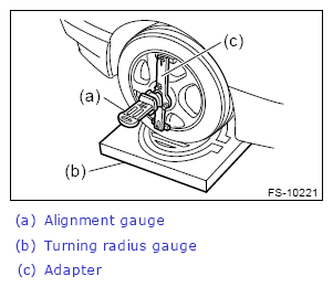 G13620796